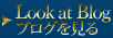 ブログを見る