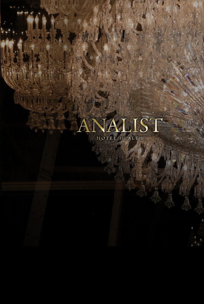 ANALIST